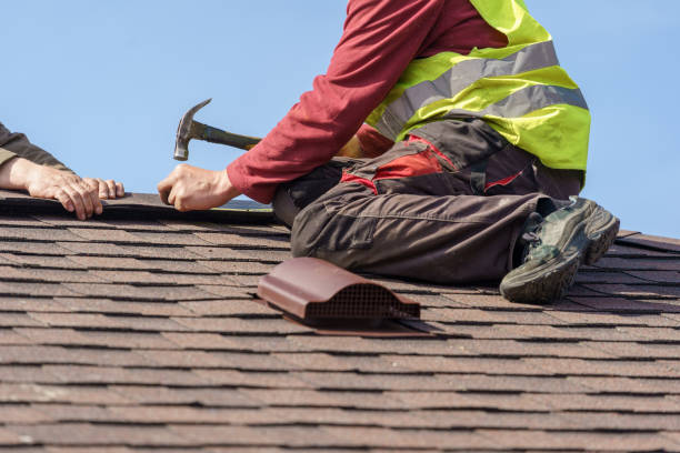Best Roof Gutter Cleaning  in Dunn Loring, VA